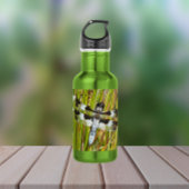 Common Whitetail Skimmer Dragonfly Foto Waterfles