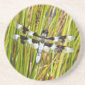 Common Whitetail Skimmer Dragonfly Foto Zandsteen Onderzetter (Voorkant)