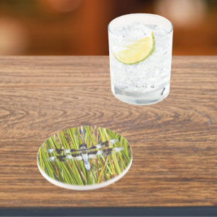 Common Whitetail Skimmer Dragonfly Foto Zandsteen Onderzetter