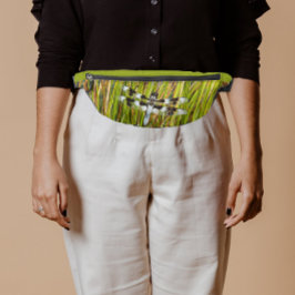 Common Whitetail Skimmer Dragonfly Heuptasje