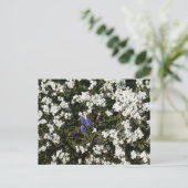 Common Yarrow & Grape Hyacint DIY Briefkaart (Staand voorkant)