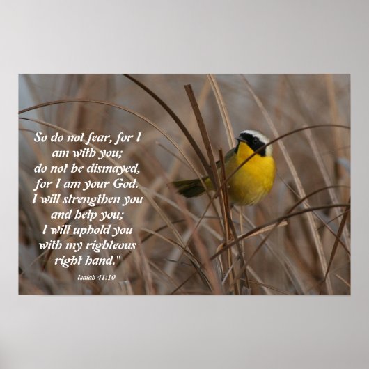 Common Yellowkeel Bird Isaiah 41:10 Afdruk Poster (Voorkant)