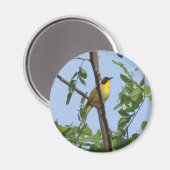 Common Yellowthroat Warbler magnet (Voorkant / Achterkant)