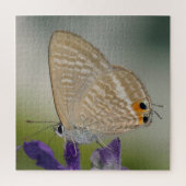 Common Zebra Blue Butterfly Legpuzzel (Verticaal)