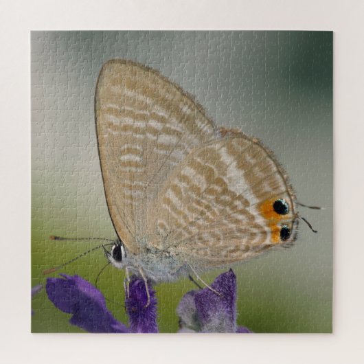 Common Zebra Blue Butterfly Legpuzzel (Verticaal)