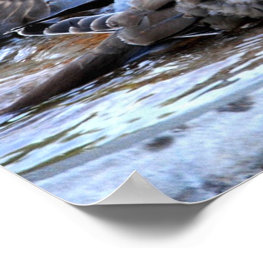 Communal Bath Poster (Hoek)