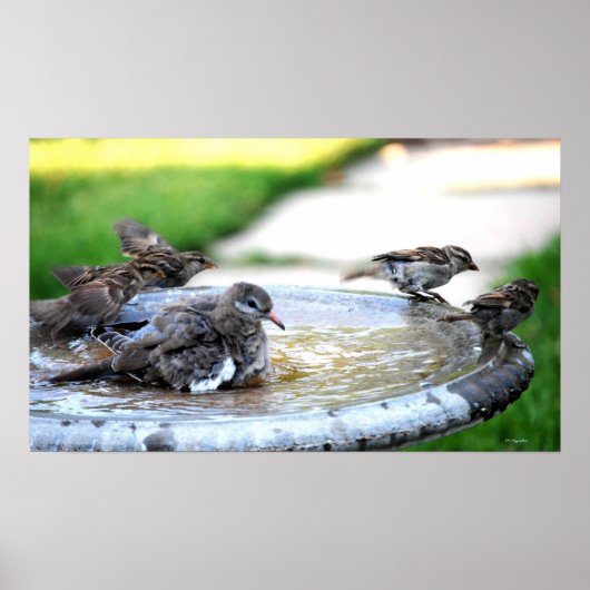 Communal Bath Poster (Voorkant)