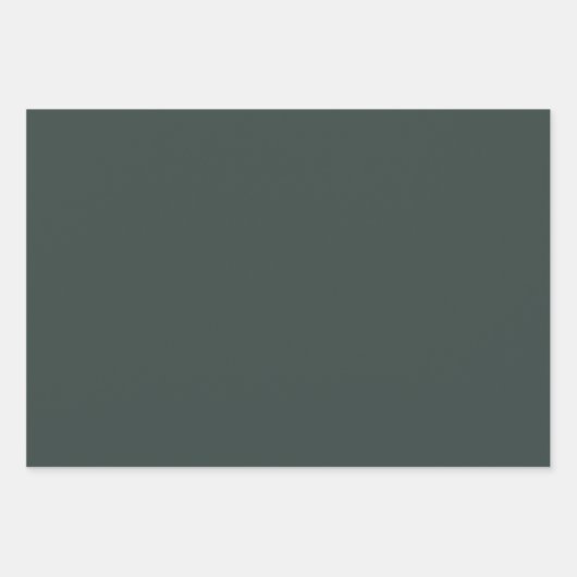 Communication Is Connection Speech Language Goose Inpakpapier Vel (Voorkant 3)