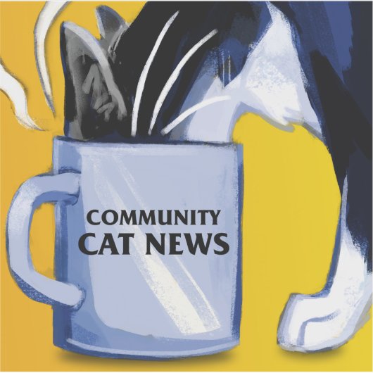 Community Cat Nieuws Sticker (Voorkant)