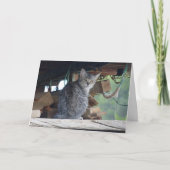 Community Cat Portrait Card Kaart (Voorkant)