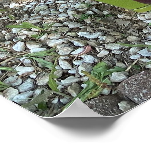 Community Pantry Poster (Hoek)