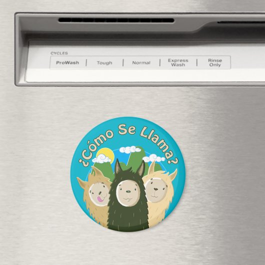 Como Se Llama? Magneet (Insitu (Vaatwasser))