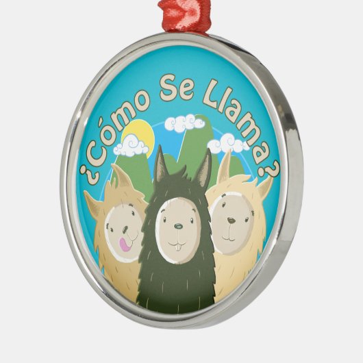 Como Se Llama? Metalen Ornament (Links)