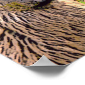 'Como se llama? Poster (Hoek)