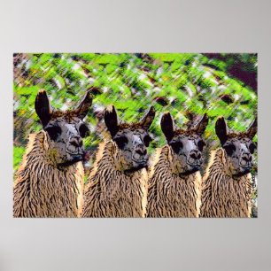 'Como se llama? Poster