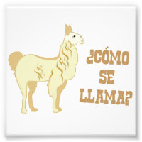 Como Se Llama? Wat is jouw naam?