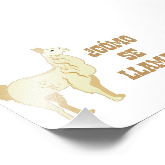 Como Se Llama? Wat is jouw naam? Foto Afdruk (Hoek)