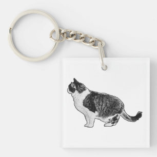 Compacte Kat, Zachte Blik Sleutelhanger