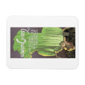 Compagnia d'Opere Comiche Magneet (Horizontaal)