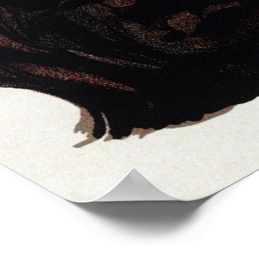 Compagnie Francaise des Chocolats, Steinlen Poster (Hoek)