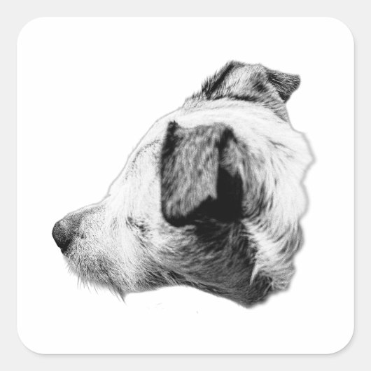 Companion in profiel vierkante sticker (Voorkant)