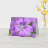 Companula. Denk aan jou, kaart (Gele Bloem)