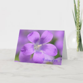 Companula. Denk aan jou, kaart