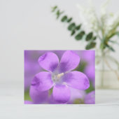 Companulair Briefkaart (Staand voorkant)