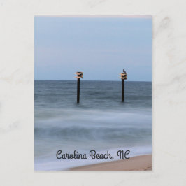 Company for Sunrise Vertical Postcard Briefkaart