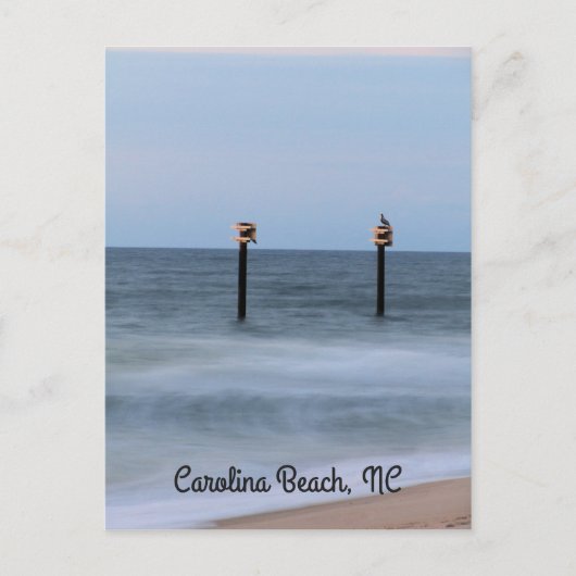 Company for Sunrise Vertical Postcard Briefkaart (Voorkant)