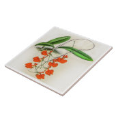 Comparettia Speciosa Orchidee Flower Tegeltje (Zijkant)