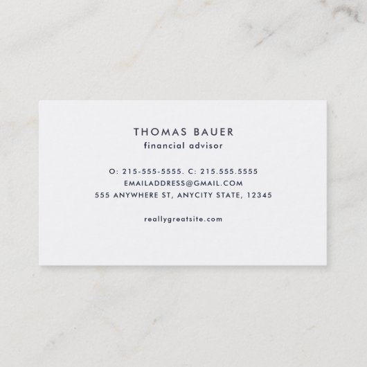 Compass Navy Blue Nautical Financial Advisor Visitekaartje (Achterkant)