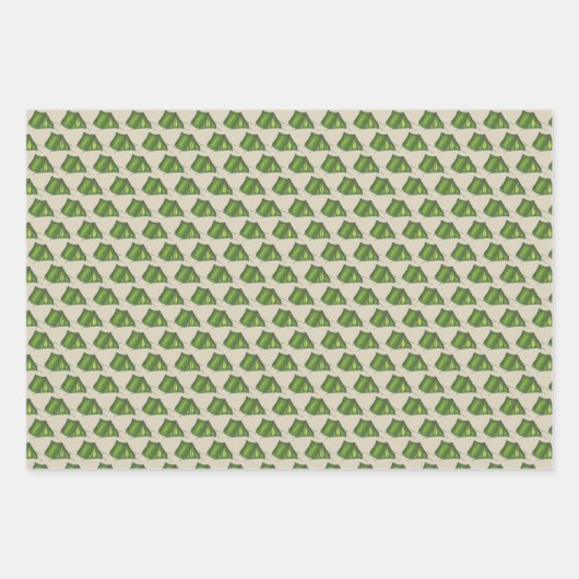 Compass Slaap Tent Summer Camping Inpakpapier Vel (Voorkant)