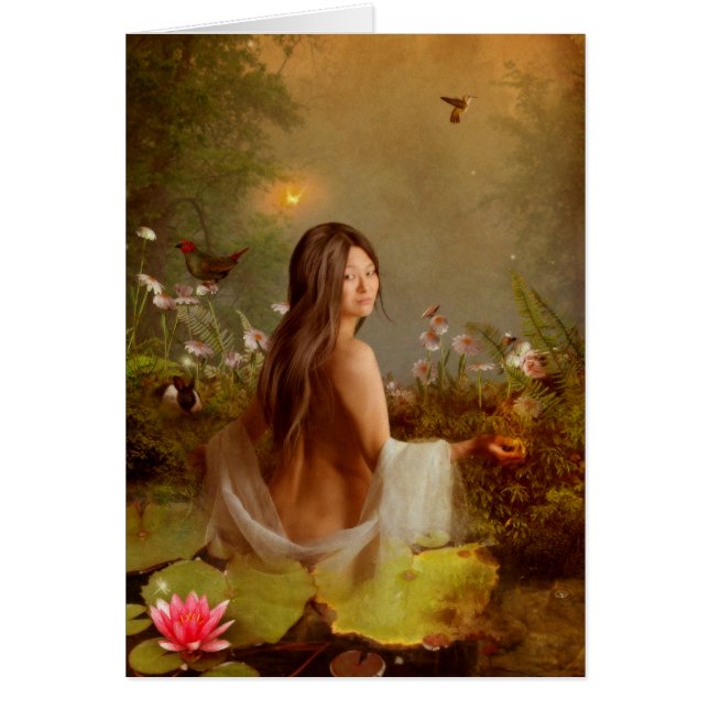 compassie (Voorkant)