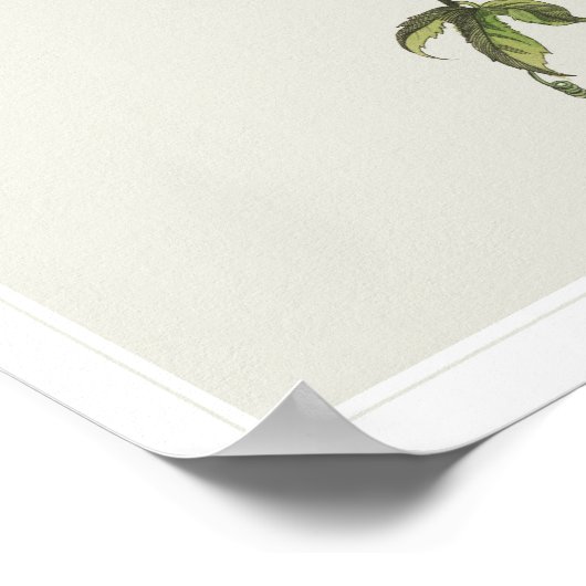 Compassie - Dalai Lama Citaat Poster (Hoek)