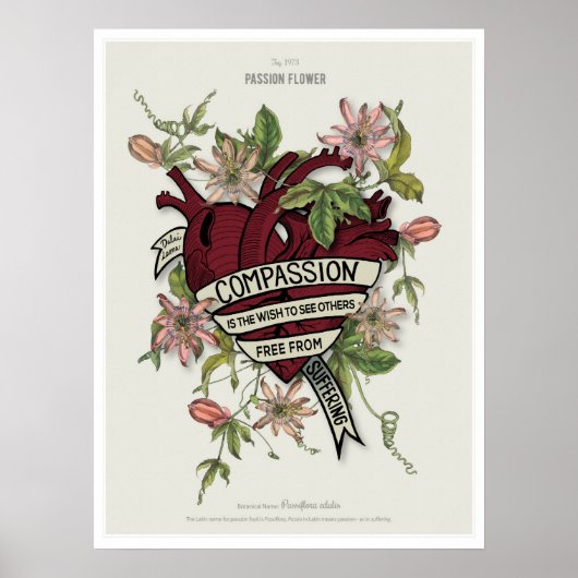 Compassie - Dalai Lama Citaat Poster (Voorkant)