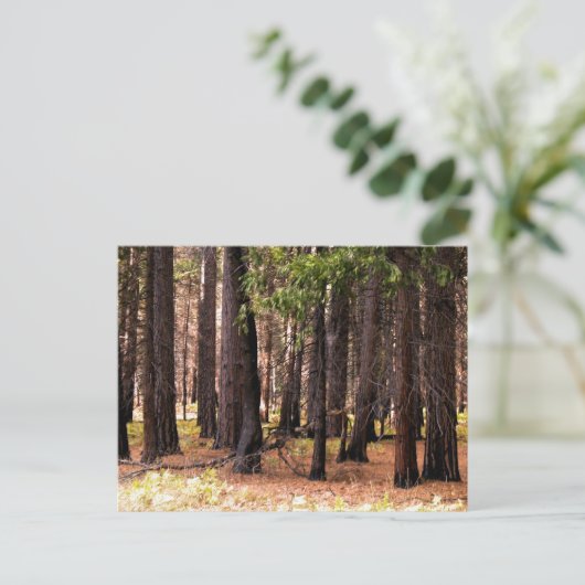 Compassie doet ertoe briefkaart (Staand voorkant)