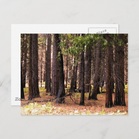 Compassie doet ertoe briefkaart (Voorkant / Achterkant)