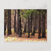 Compassie doet ertoe briefkaart (Voorkant)