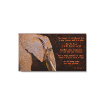 Compassie - Elefant & Literary Quote - Rustige BG