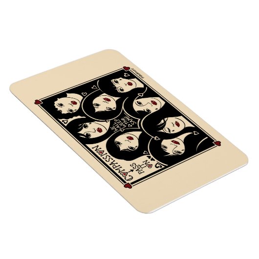 Compassie passeert it On_Flexible Magnet 6"x4" Magneet (Rechterzijde)