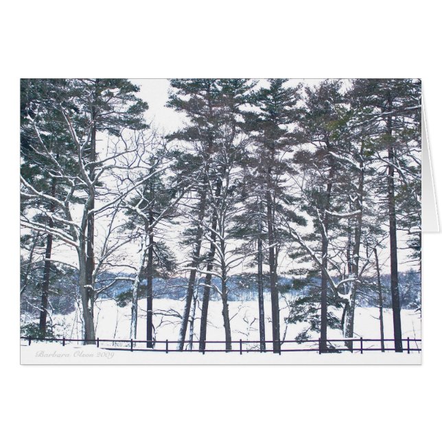 Compensatie bij elke teleurstelling (Voorkant Horizontaal)