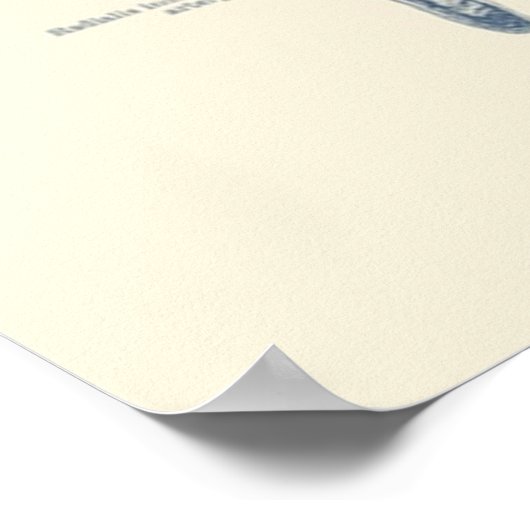 Complete arm- en handdiagram poster (Hoek)