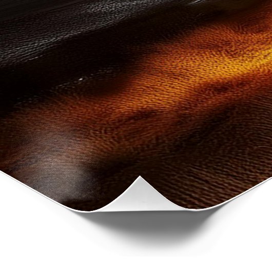 Complex Design On Semi Transparent Hot Air Balloon Perfect Poster (Hoek)