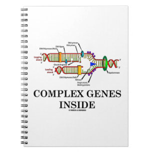 Complexe genen binnenin (DNA-replicatie) Notitieboek