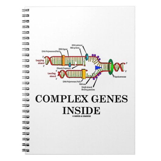 Complexe genen binnenin (DNA-replicatie) Notitieboek (Voorkant)
