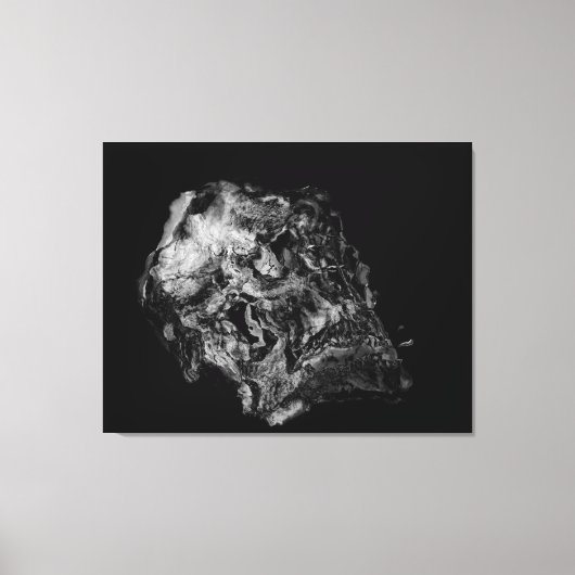 Complexiteit / Surreal Skull Canvas Afdruk (Voorkant)