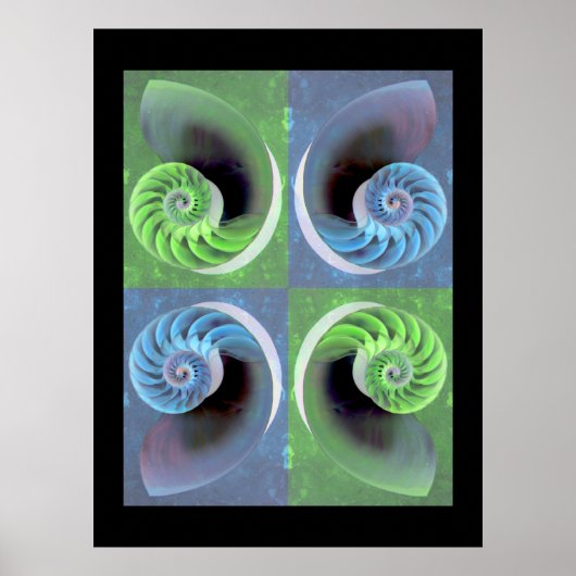 Composiet Nautilus Poster (Voorkant)