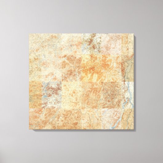 Composiet van 24 Adirondack Topografische kaarten Canvas Afdruk (Voorkant)