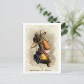 Composietportretten van beroepen: Musicus  Briefkaart (Staand voorkant)